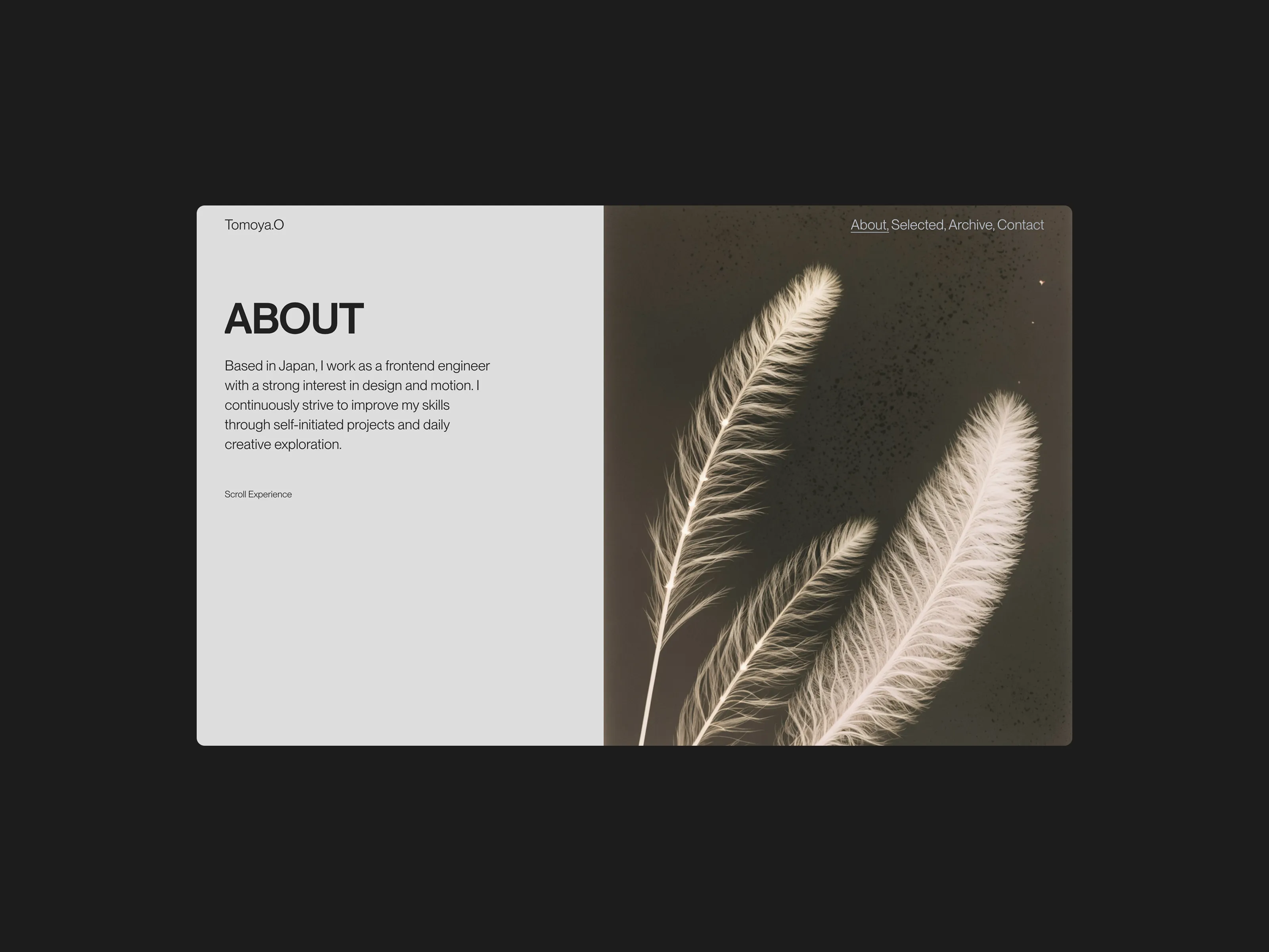 PortfolioV7 image
