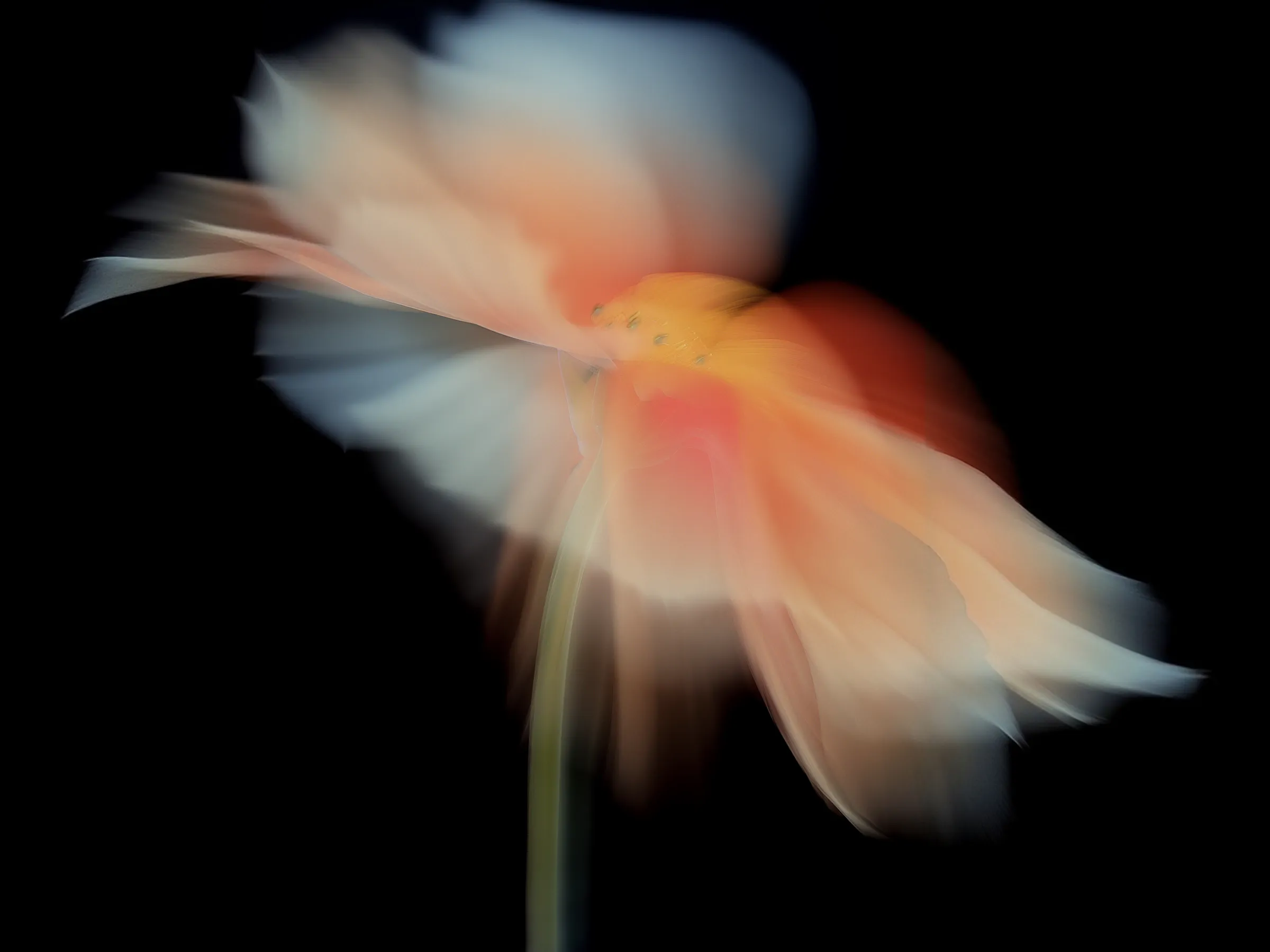 PhotoArtWork