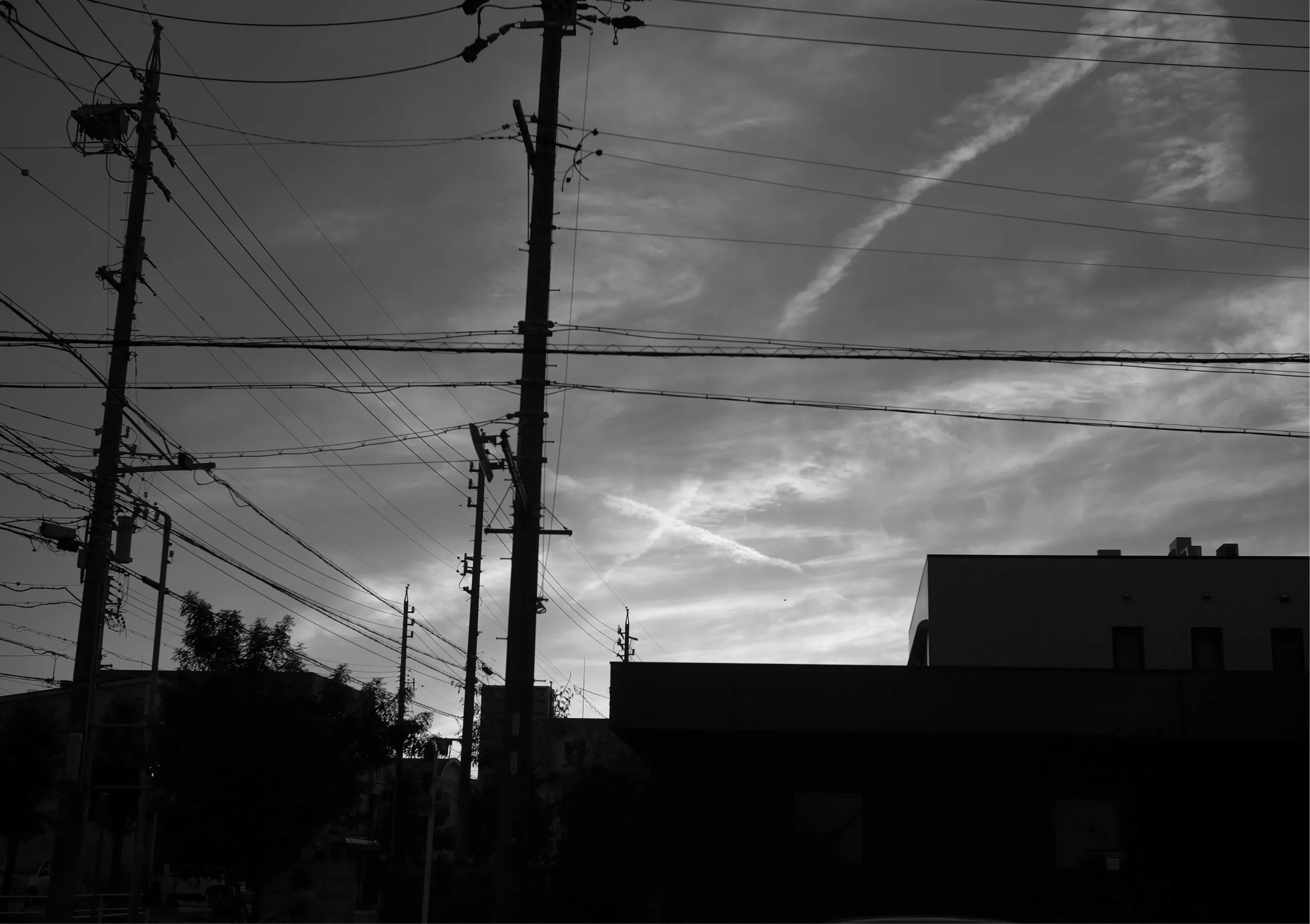 Summer Haze